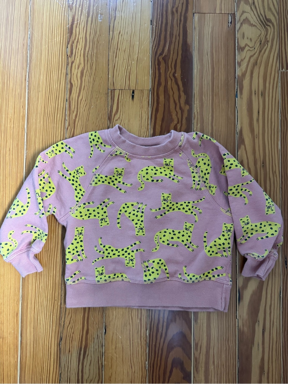 Hanna Andersson Leopard Print Sweatshirt